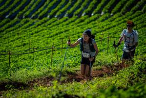 BIB: 9772
                            <button type="button" onclick="openModal(19160753)" class="btn btn-primary btn-sm float-right btn-popup" data-toggle="modal" data-target=".modal-high-quality">
                        <i class="fas fa-shopping-cart"></i> Add to Cart
                    </button>
                                            <button type="button" onclick="isThisMe(19160753, true)" class="btn btn-success btn-sm float-right btn-popup btn-isme hidden" data-toggle="tooltip" data-placement="bottom" title="นี่คือรูปของคุณใช่ไหม คลิกที่นี่เพื่อเอาเข้าอัลบั้ม">
                        <i class="fas fa-plus"></i> Add to album
                    </button>
                    <button type="button" onclick="isThisMe(19160753, false)" class="btn btn-warning btn-sm float-right btn-popup btn-isnotme hidden">
                        <i class="fas fa-ban"></i> Remove from album
                    </button>